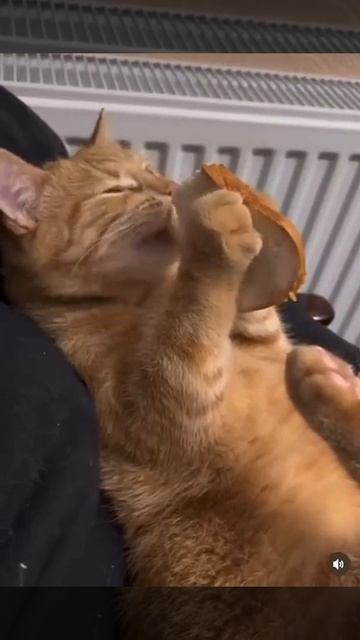 Мая бУвачка смотреть онлайн