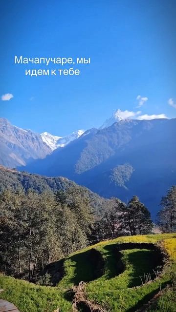 Путешествие к подножию Мачапучаре #Непал #Гималаи #путешествия #горы смотреть онлайн