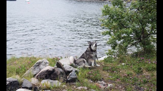 Лиинахамари часть 4 фото