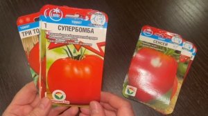 СРЕДНЕРОСЛЫЕ ТОМАТЫ