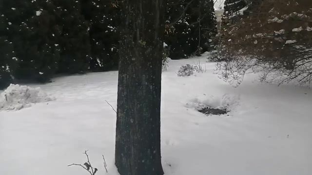 Прекрасная территория свято-данилов монастыря. Увидел настоящего кота, который был рядом.