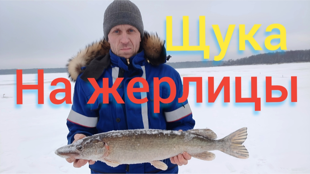 ловим щуку на жерлицы смотреть онлайн