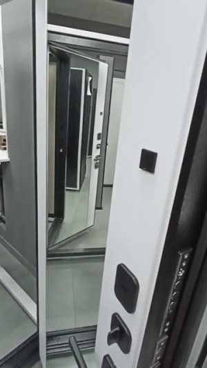 Входная дверь Алиса Зеркало