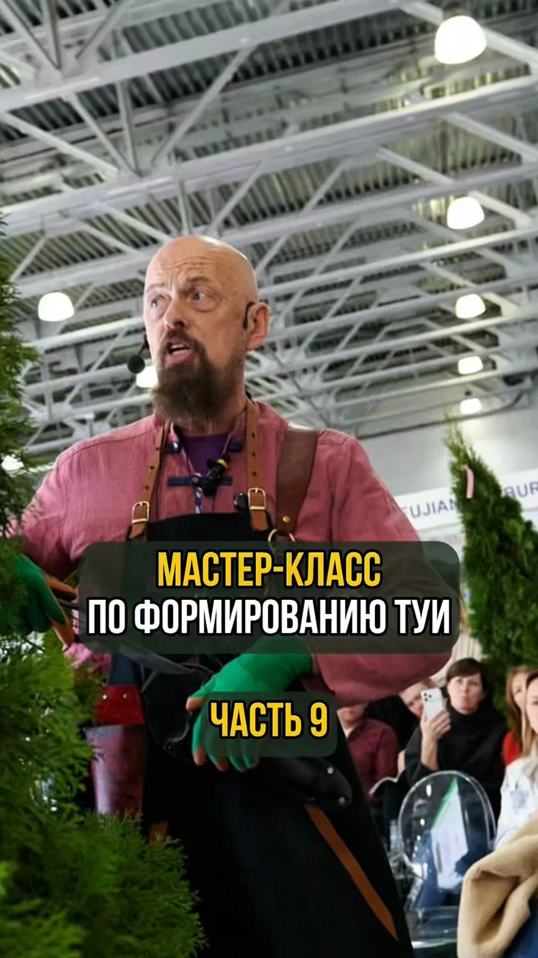 Мастер-класс по формированию туи. Часть 9 смотреть онлайн