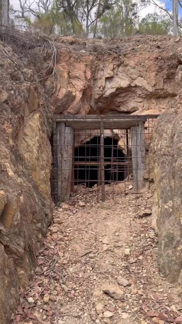 Куда попадали первые поселенцы, прибывшие в Австралию? смотреть онлайн