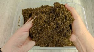 НАДЕЖНЫЙ ГРУНТ для РАССАДЫ без БОЛЕЗНЕЙ и ВРЕДИТЕЛЕЙ!!!