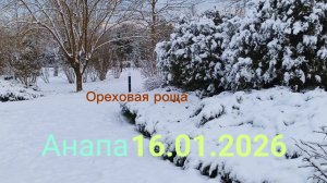 Анапа 16.01.2026 Ореховая роща
