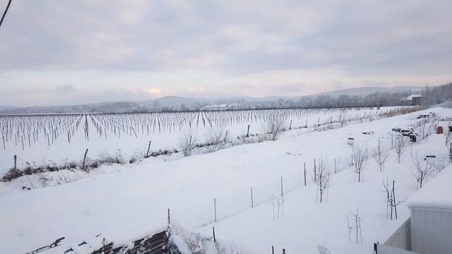 Настоящая Зима за пять лет нашей жизни на Юге.