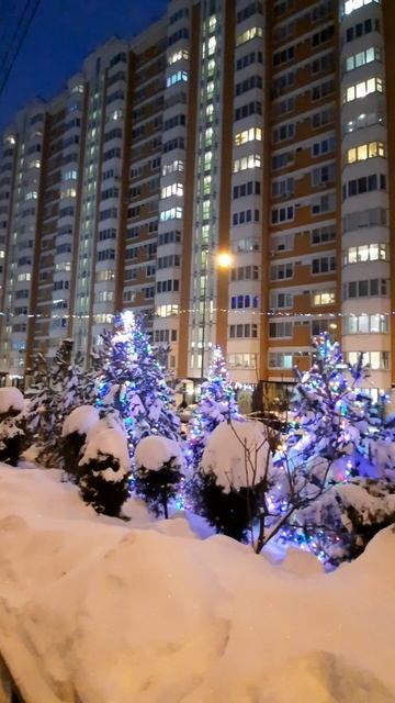 Двойственность