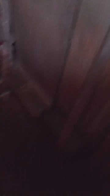 Куры. 1 часть