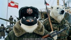 Democratic_Penguins_Republic_Greenland_Official_Music_Video