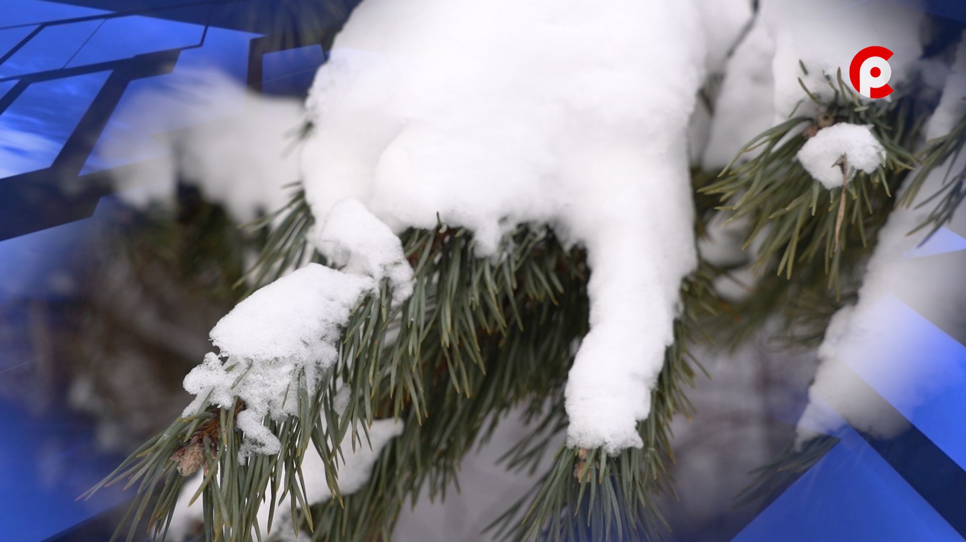 Отмена морозов смотреть онлайн