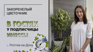 В гостях у Инессы. г. Ростов-на-Дону. Отрубите ему голову или тотальная обрезка растений.