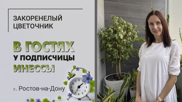 В гостях у Инессы. г. Ростов-на-Дону. Отрубите ему голову или тотальная обрезка растений.