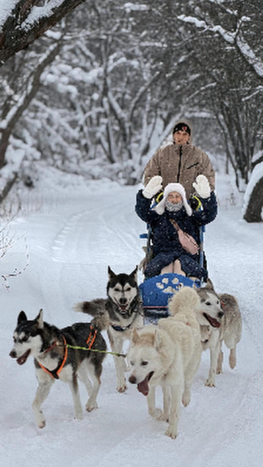 5000₽ за круг — стоит ли катание на хаски в Суздале? 🐕❄️