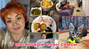 Вернулась к кето/ Мы взяли Мейн Куна/Закупка/ Эмоции сына бесценны