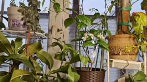 О том, о сем.