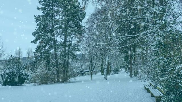 Футаж. Зимний пейзаж 149 смотреть онлайн