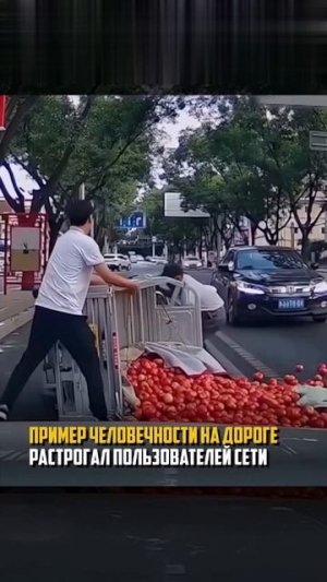 Рассыпал помидоры