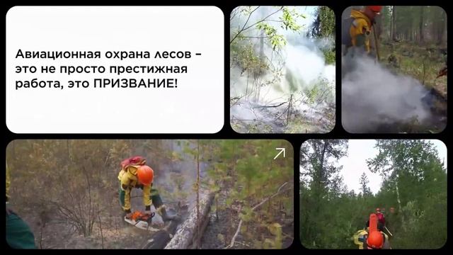 Предлагаем официальное трудоустройство на постоянной основе. смотреть онлайн