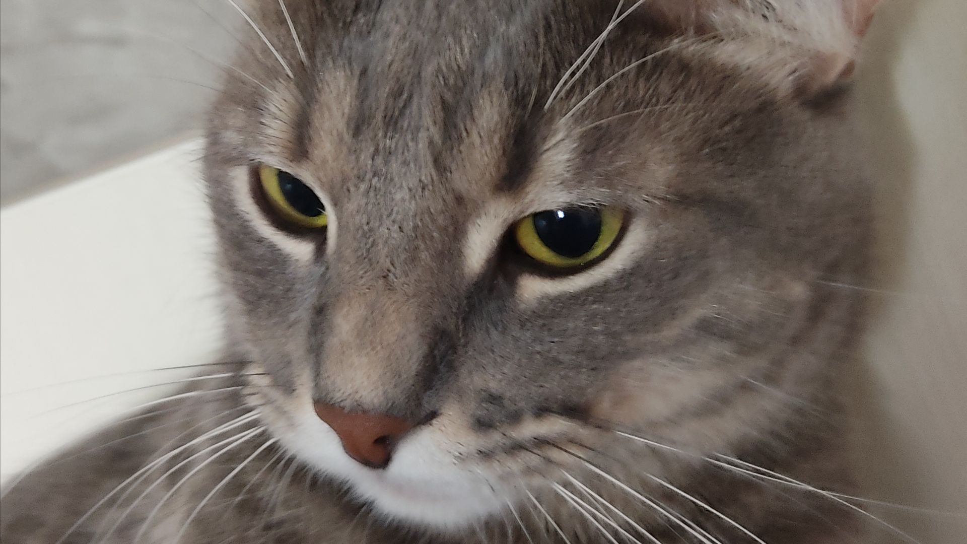 И так каждый день...😁