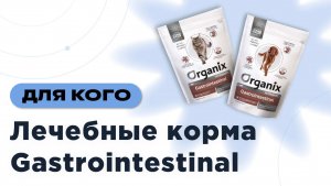Лечебные корма Gastrointestinal для кошек и собак: полное руководство