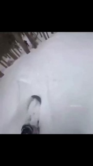 Повезло то как