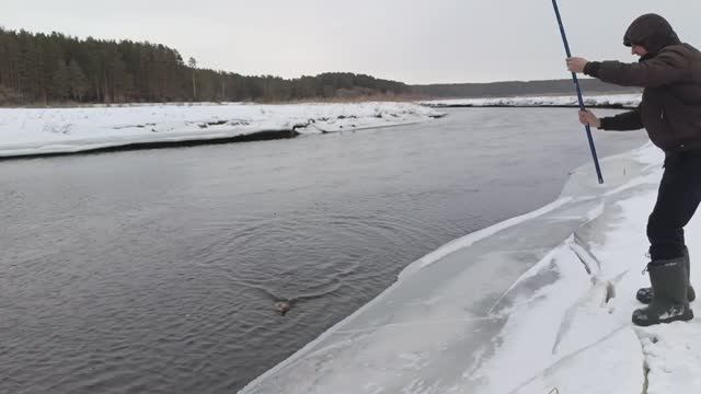 Рыбалка, клюнул карп в феврале🎣