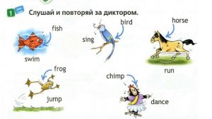 Spotlight 2 Аудио стр. 8  / My animals