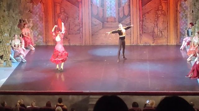 VID2026 Сегодня я был на Балете Лебединое озеро смотреть онлайн