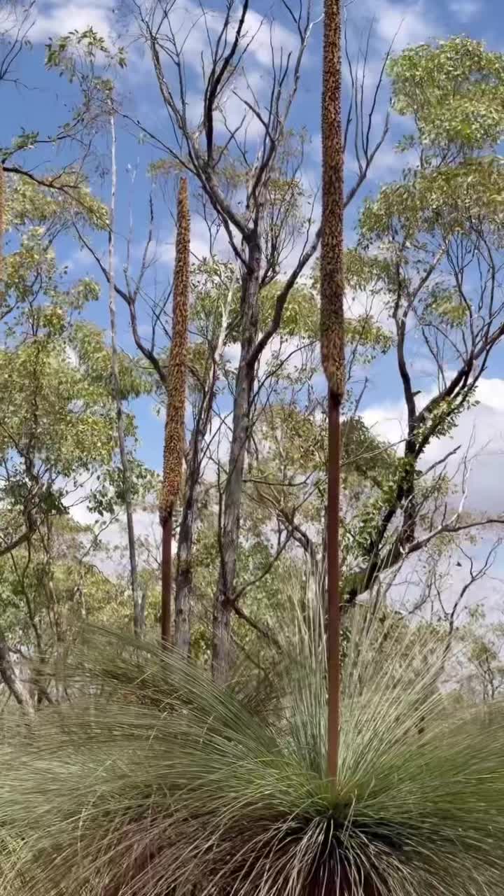 🔥 Всё, что нельзя выкладывать сюда - закулисье и истории, за которые меня постоянно банят, уже л... смотреть онлайн