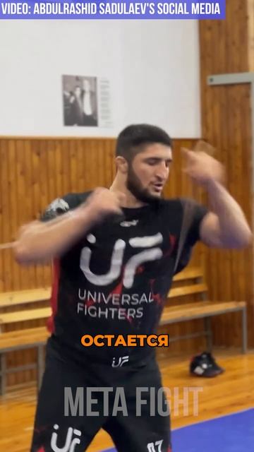 Русский танк в США? Садулаев НЕОЖИДАННО подписался в АМЕРИКАНСКУЮ лигу RAF смотреть онлайн