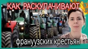 ФЕРМЕРСКИЕ ПРОТЕСТЫ ВО ФРАНЦИИ - ИСТОРИЯ РАСКУЛАЧИВАНИЯ ФРАНЦУЗСКИХ КРЕСТЬЯН - МЕРКОСУР МАКРОН ЗА