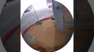 Мопеды сериал | Серия 1678