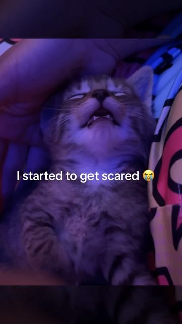 1000102552.mp4 смотреть онлайн