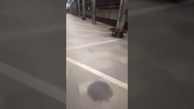 Новосибирское метро 2026