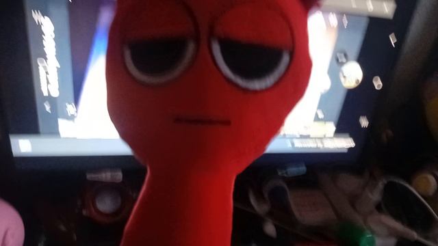 Сиалор радди