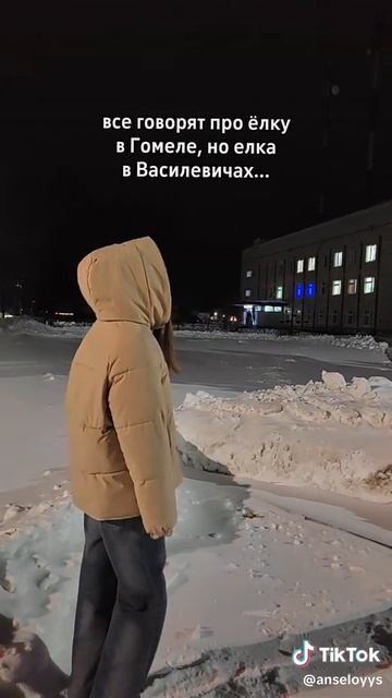 13.01.26. Василевичи.🇧🇾.mp4