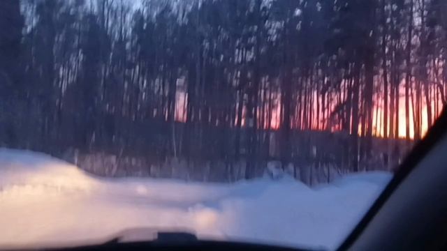 Едем в Асбест/ Болталка по дороге/Закупили корма для коров. Купили продукты домой. смотреть онлайн