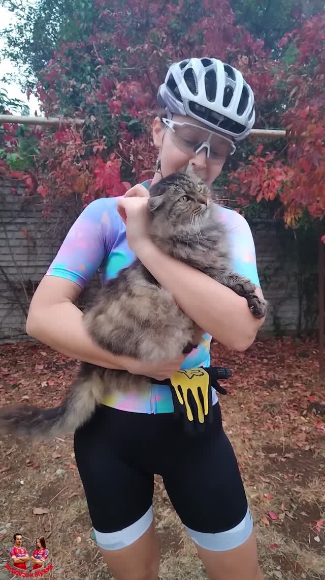 В конце велопути нас встречают коты. Рыся. смотреть онлайн