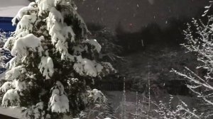 Такие снегопады нынче не редкость