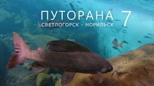 ПУТОРАНА. Светлогорск - Норильск. Часть-7. Орокан