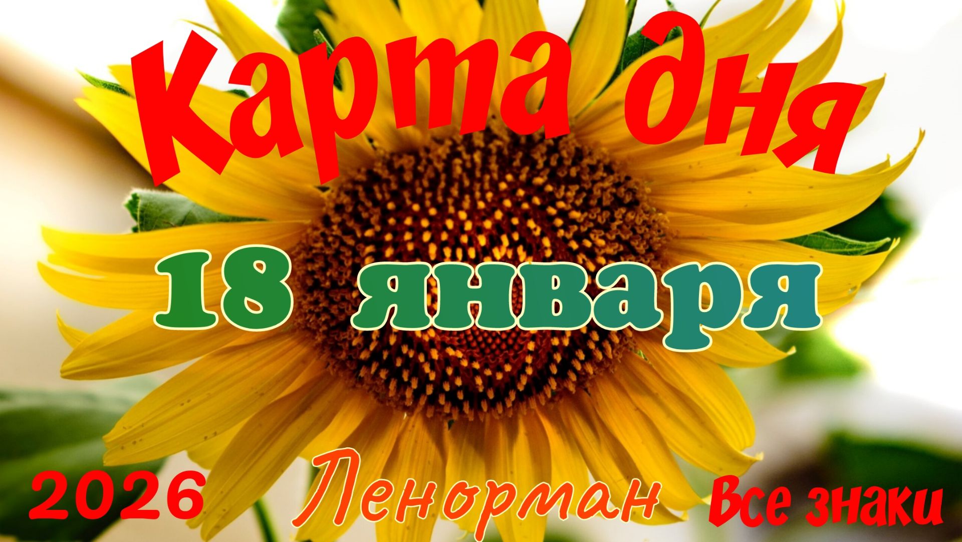 Карта дня❄ 18 января 2026🎄☃️Ленорман.Тайм-код в описании🦢 смотреть онлайн