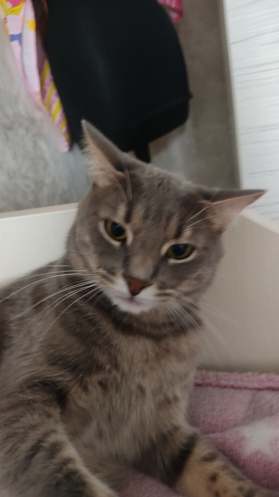 У Вани опять фотосессия 😁