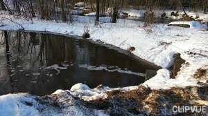 ЛОВИТЕ МГНОВЕНИЯ НАСТОЯЩЕГО. ВСЁ ТАК БЫСТРО СТАНОВИТСЯ ПРОШЛЫМ