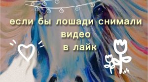 Если бы лошади снимали видео в like