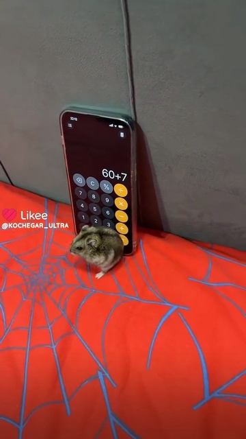 ОН ЧТО ЭЙНШТЕЙН???????? смотреть онлайн
