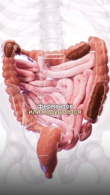 Тяжесть после еды — вы знаете настоящую причину? смотреть онлайн