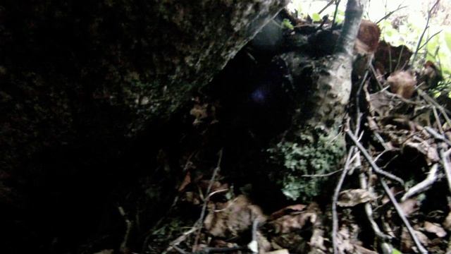 © "Олешин. Съемки исследователей водолазной группы" 2010 GOPR0156