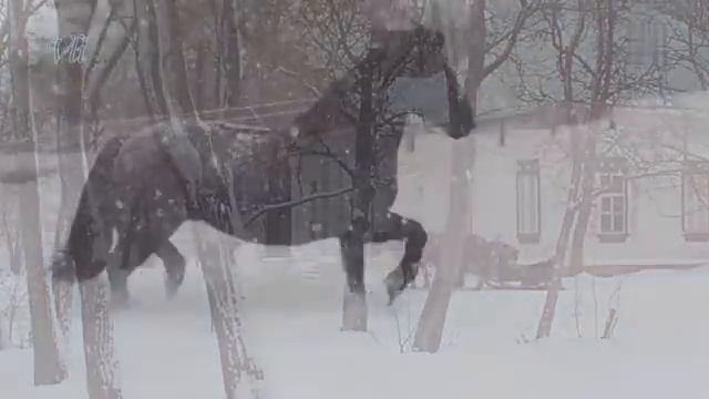 Георгий Свиридов Романс сюита Метель Гениальная музыка Будет звучать вечно @ЛюдмилаВанина-б2ю смотреть онлайн